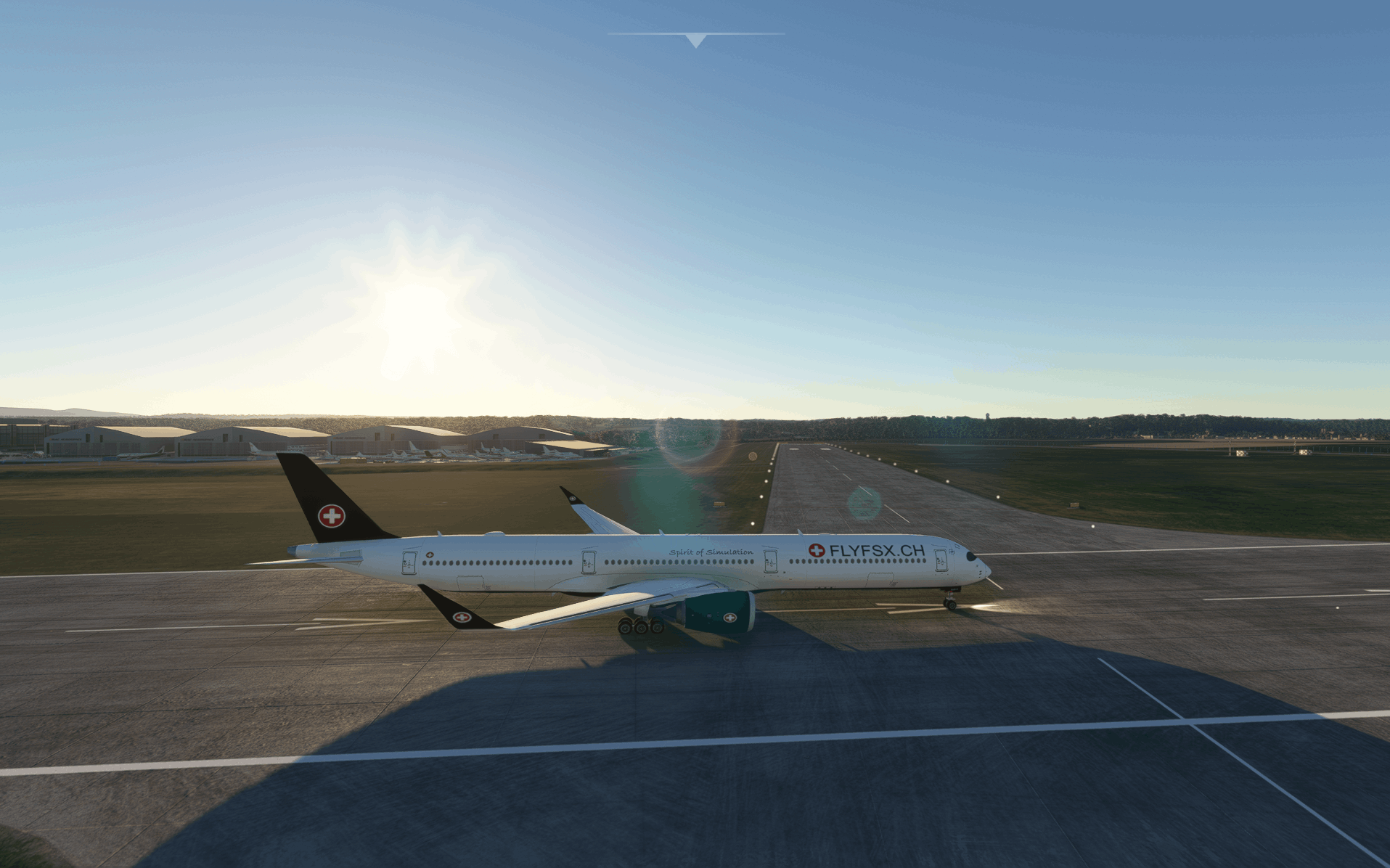 FLYFSX - Flugsimulator - Flight Simulator -  Rüchligweg 55 - 4125 Riehen - Basel - Baden - Aarau - Zürich - Schweiz - Lörrach - Freiburg - Deutschland. 