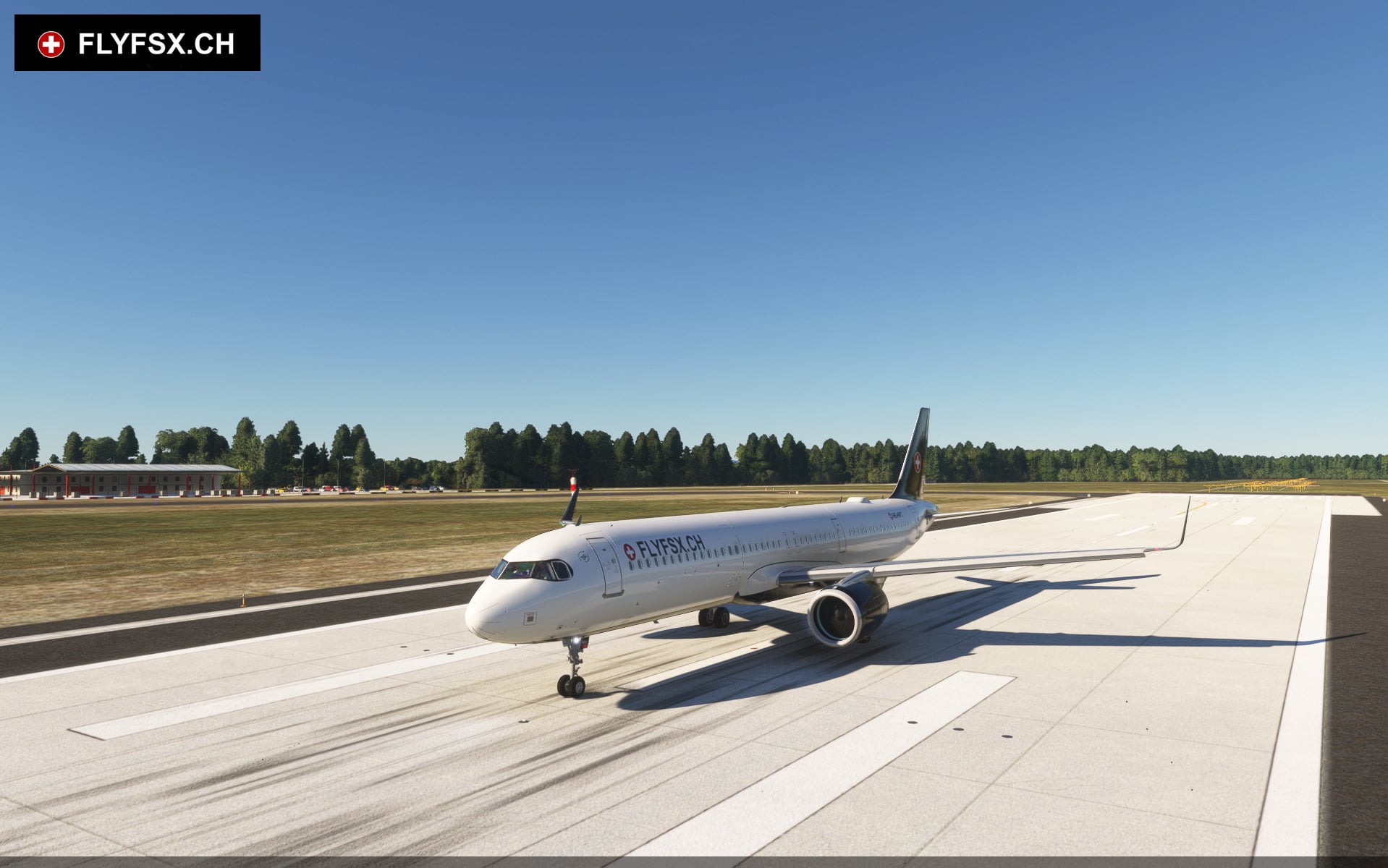 FLYFSX - Flugsimulator - Flight Simulator -  Rüchligweg 55 - 4125 Riehen - Basel - Baden - Aarau - Zürich - Schweiz - Lörrach - Freiburg - Deutschland. 
