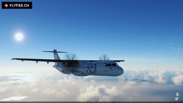 FLYFSX - Flugsimulator - Flight Simulator -  Rüchligweg 55 - 4125 Riehen - Basel - Baden - Aarau - Zürich - Schweiz - Lörrach - Freiburg - Deutschland. 