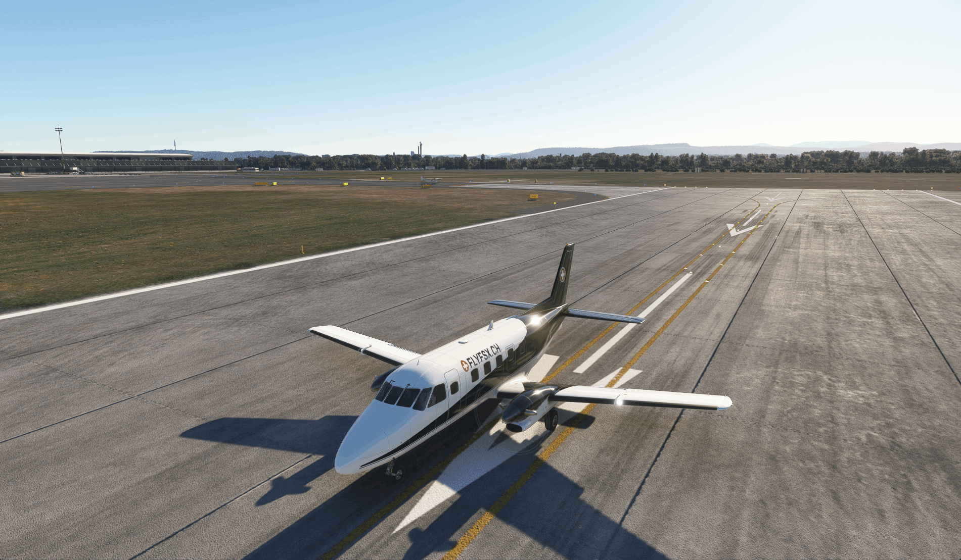 FLYFSX - Flugsimulator - Flight Simulator -  Rüchligweg 55 - 4125 Riehen - Basel - Baden - Aarau - Zürich - Schweiz - Lörrach - Freiburg - Deutschland. 