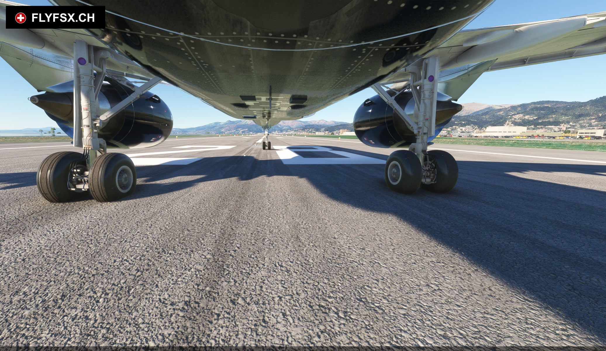 FLYFSX - Flugsimulator - Flight Simulator -  Rüchligweg 55 - 4125 Riehen - Basel - Baden - Aarau - Zürich - Schweiz - Lörrach - Freiburg - Deutschland. 