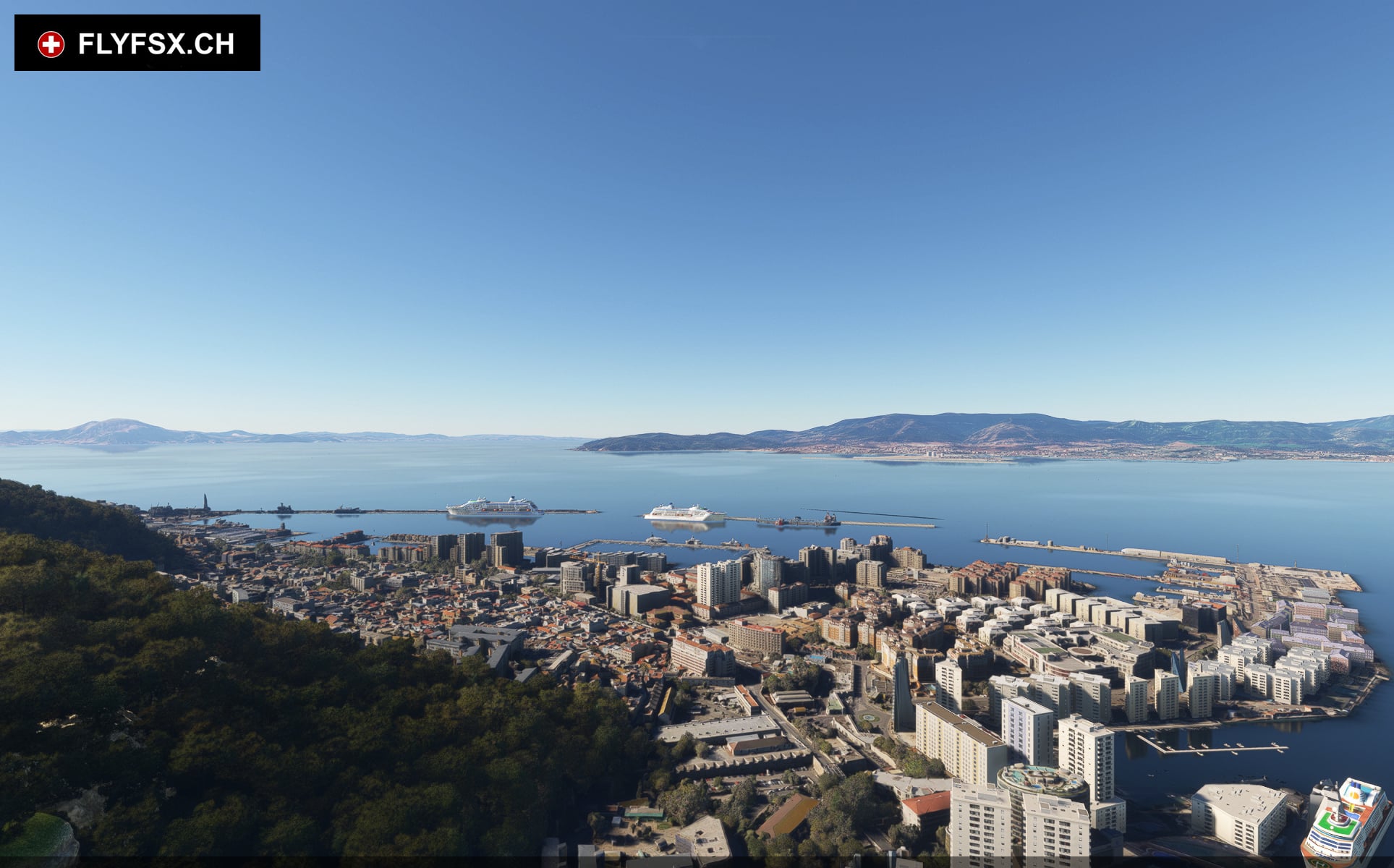 FLYFSX - Flugsimulator - Flight Simulator -  Rüchligweg 55 - 4125 Riehen - Basel - Baden - Aarau - Zürich - Schweiz - Lörrach - Freiburg - Deutschland. 