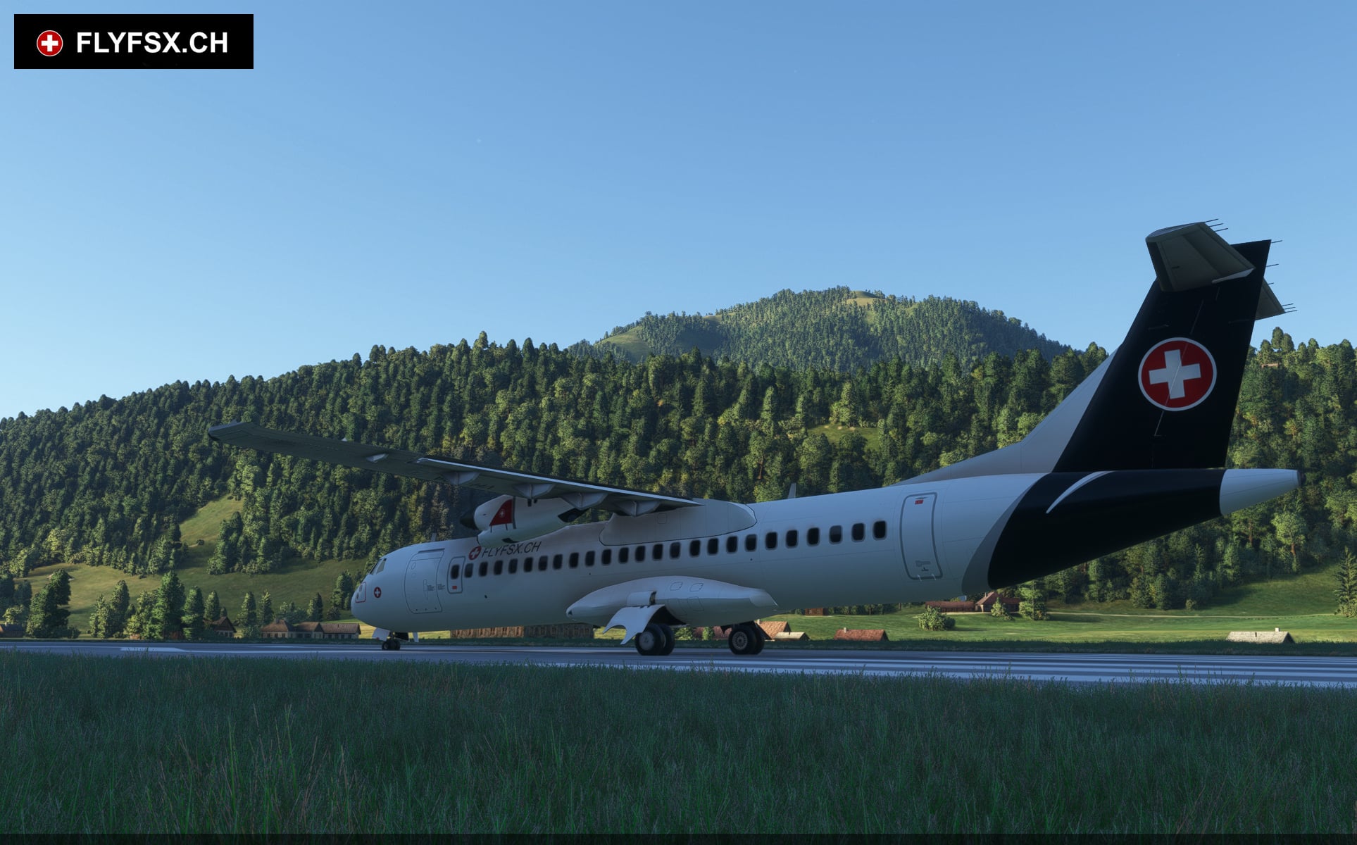 FLYFSX - Flugsimulator - Flight Simulator -  Rüchligweg 55 - 4125 Riehen - Basel - Baden - Aarau - Zürich - Schweiz - Lörrach - Freiburg - Deutschland. 