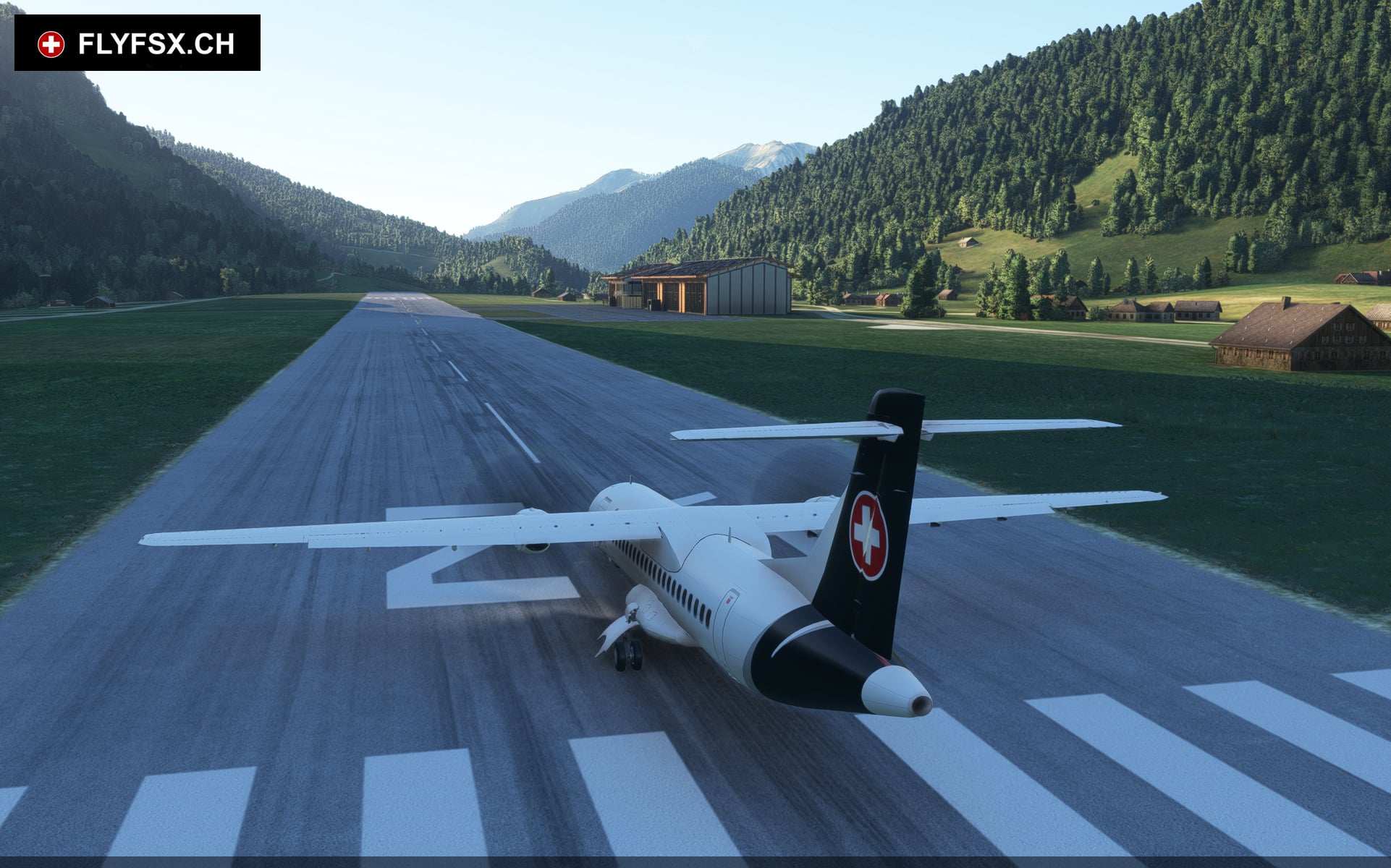 FLYFSX - Flugsimulator - Flight Simulator -  Rüchligweg 55 - 4125 Riehen - Basel - Baden - Aarau - Zürich - Schweiz - Lörrach - Freiburg - Deutschland. 