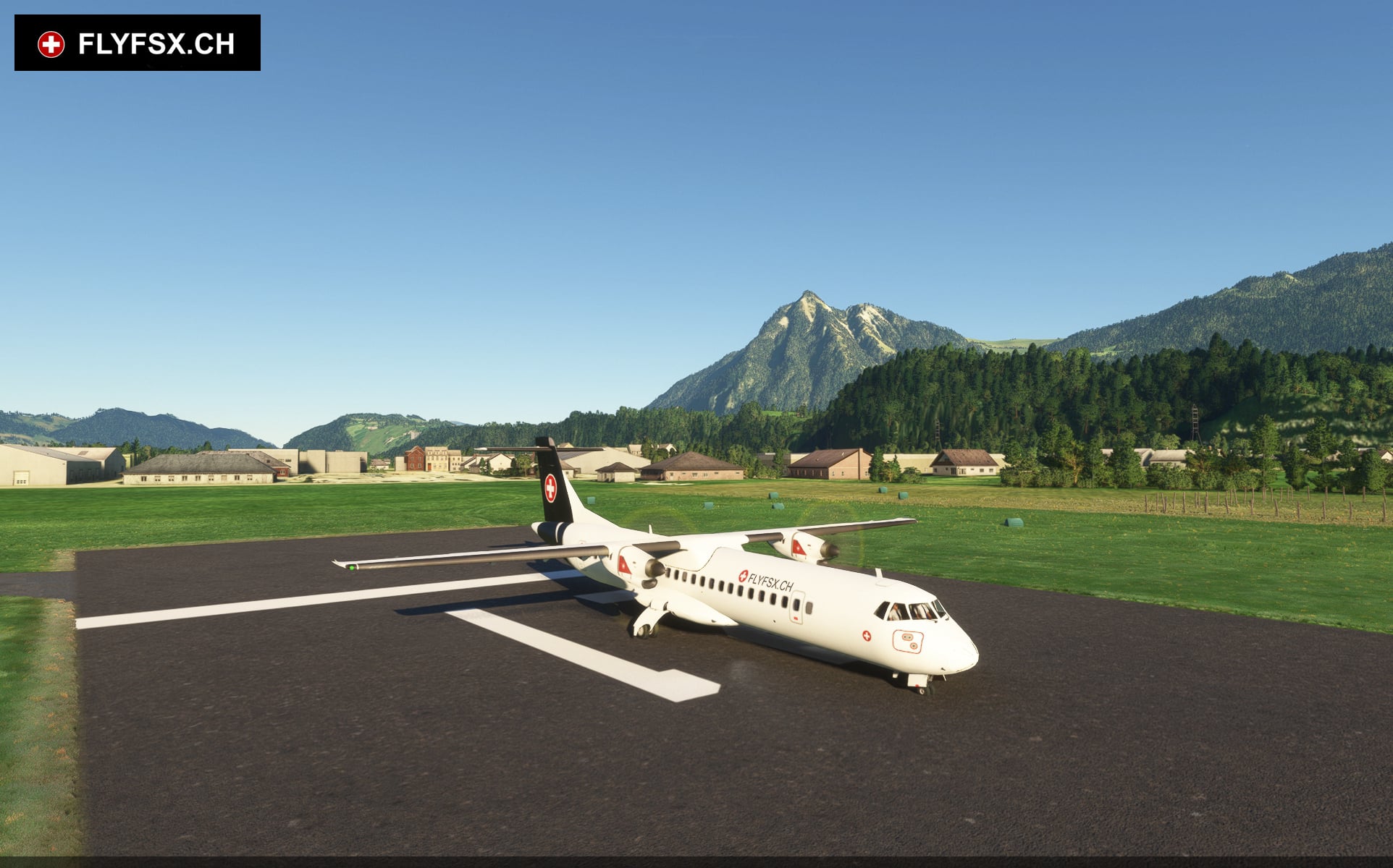 FLYFSX - Flugsimulator - Flight Simulator -  Rüchligweg 55 - 4125 Riehen - Basel - Baden - Aarau - Zürich - Schweiz - Lörrach - Freiburg - Deutschland. 