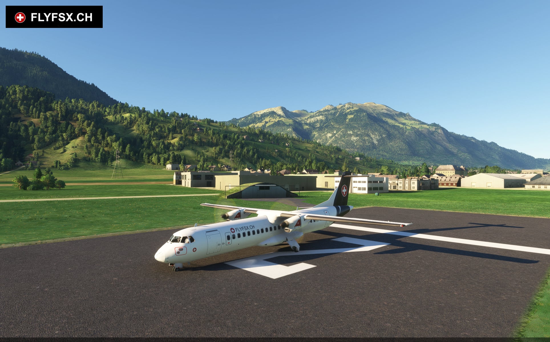 FLYFSX - Flugsimulator - Flight Simulator -  Rüchligweg 55 - 4125 Riehen - Basel - Baden - Aarau - Zürich - Schweiz - Lörrach - Freiburg - Deutschland. 