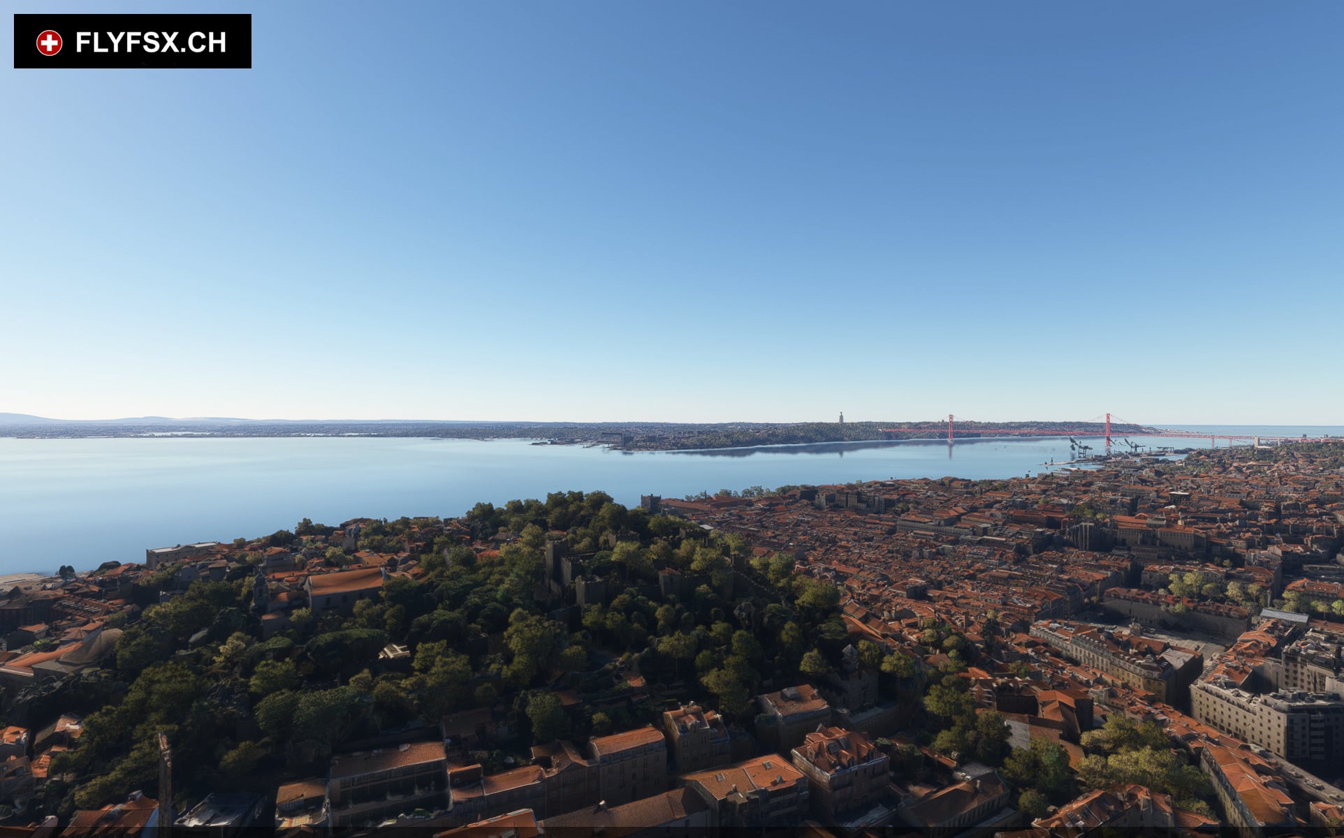 FLYFSX - Flugsimulator - Flight Simulator -  Rüchligweg 55 - 4125 Riehen - Basel - Baden - Aarau - Zürich - Schweiz - Lörrach - Freiburg - Deutschland. 