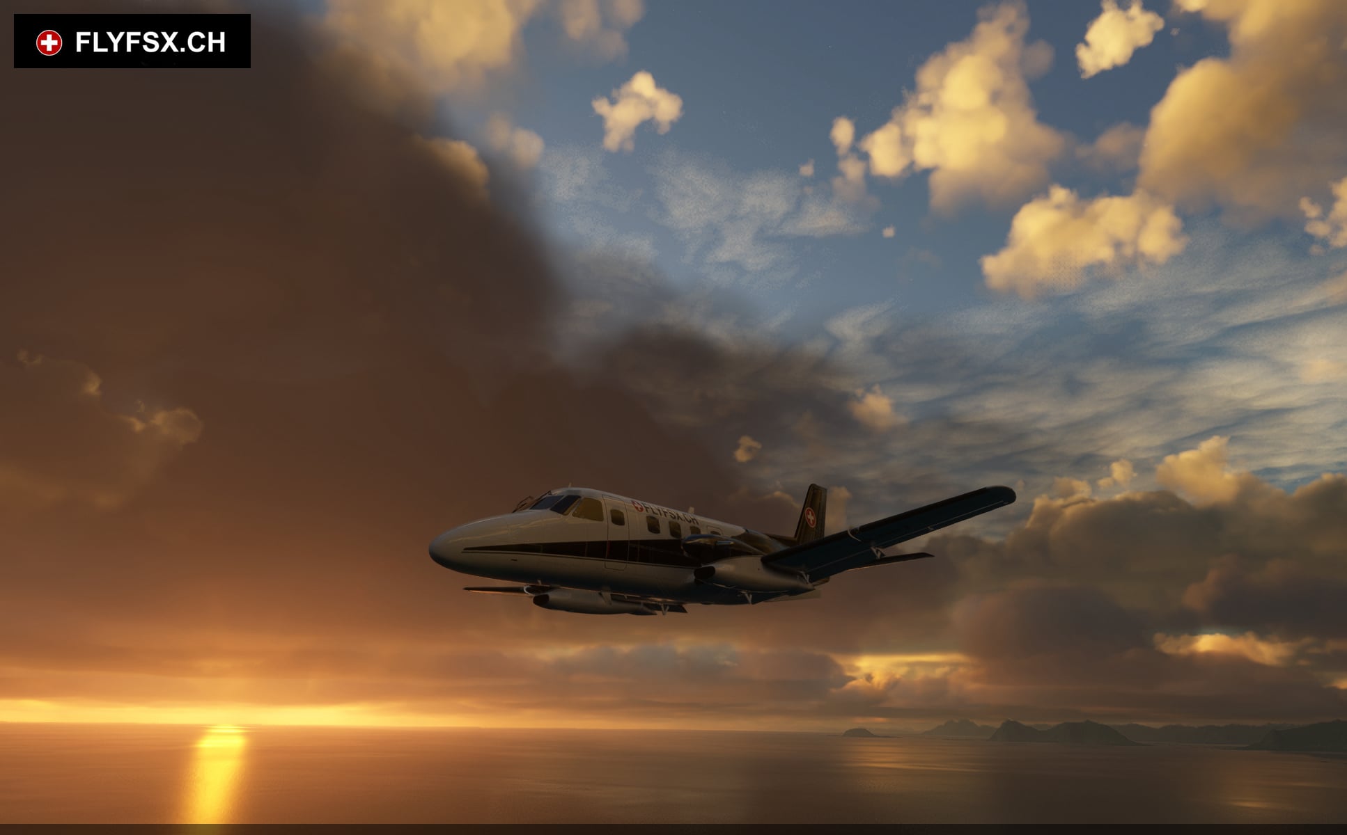 FLYFSX - Flugsimulator - Flight Simulator -  Rüchligweg 55 - 4125 Riehen - Basel - Baden - Aarau - Zürich - Schweiz - Lörrach - Freiburg - Deutschland. 