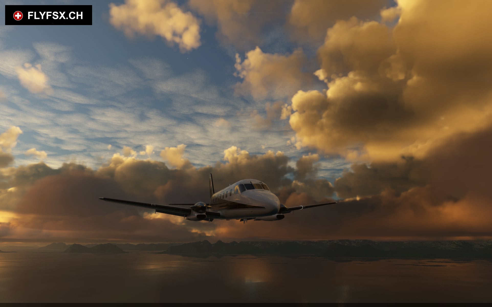 FLYFSX - Flugsimulator - Flight Simulator -  Rüchligweg 55 - 4125 Riehen - Basel - Baden - Aarau - Zürich - Schweiz - Lörrach - Freiburg - Deutschland. 