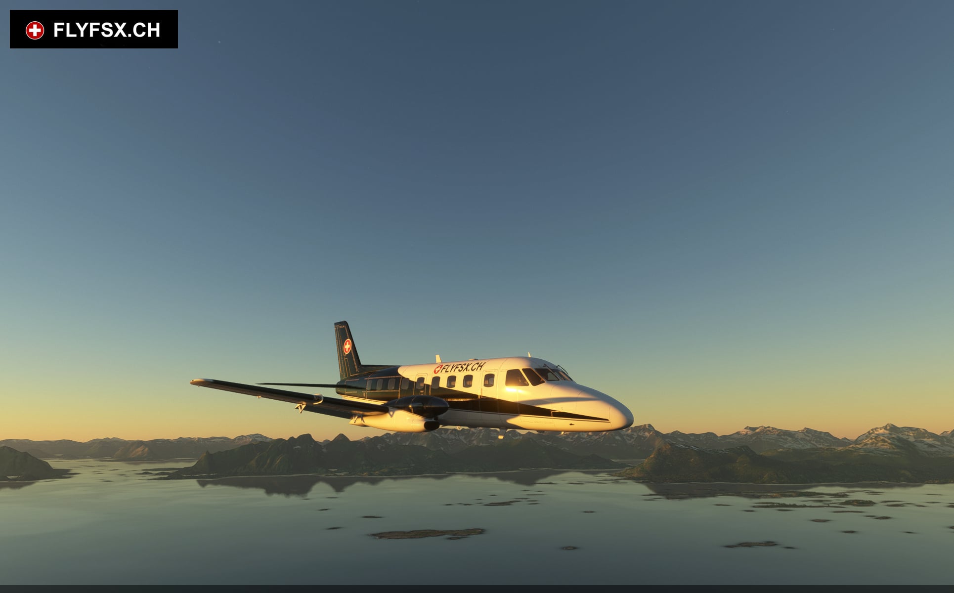 FLYFSX - Flugsimulator - Flight Simulator -  Rüchligweg 55 - 4125 Riehen - Basel - Baden - Aarau - Zürich - Schweiz - Lörrach - Freiburg - Deutschland. 