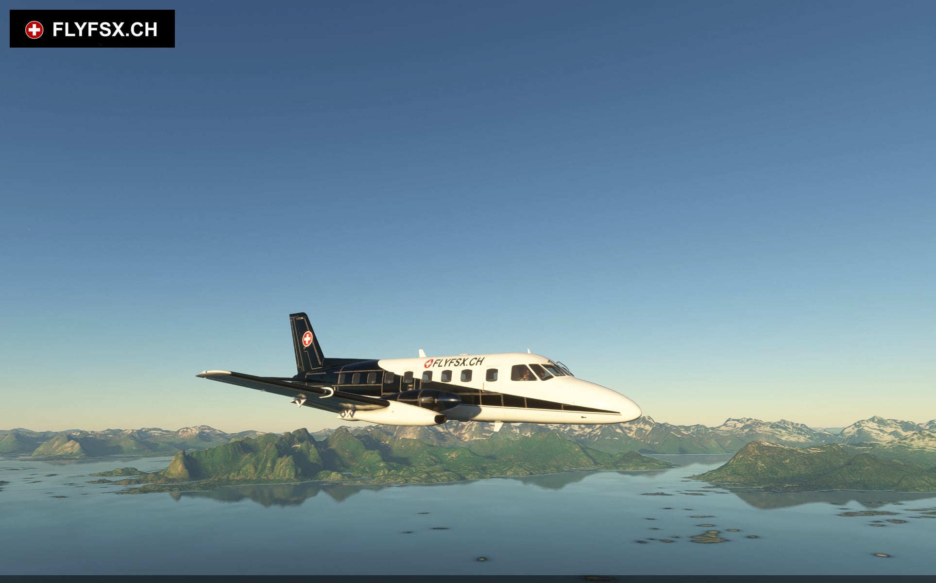FLYFSX - Flugsimulator - Flight Simulator -  Rüchligweg 55 - 4125 Riehen - Basel - Baden - Aarau - Zürich - Schweiz - Lörrach - Freiburg - Deutschland. 