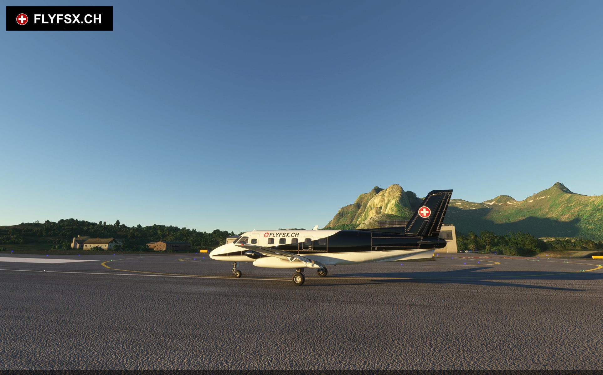 FLYFSX - Flugsimulator - Flight Simulator -  Rüchligweg 55 - 4125 Riehen - Basel - Baden - Aarau - Zürich - Schweiz - Lörrach - Freiburg - Deutschland. 