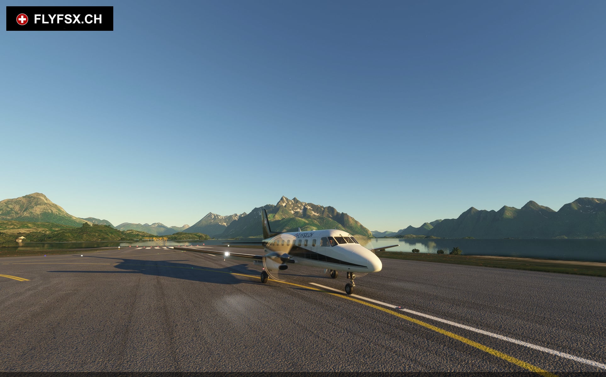 FLYFSX - Flugsimulator - Flight Simulator -  Rüchligweg 55 - 4125 Riehen - Basel - Baden - Aarau - Zürich - Schweiz - Lörrach - Freiburg - Deutschland. 