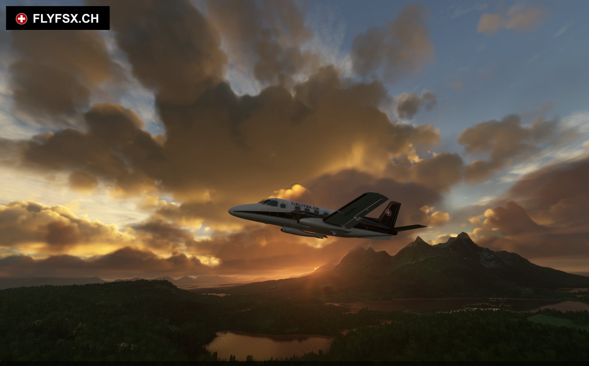 FLYFSX - Flugsimulator - Flight Simulator -  Rüchligweg 55 - 4125 Riehen - Basel - Baden - Aarau - Zürich - Schweiz - Lörrach - Freiburg - Deutschland. 