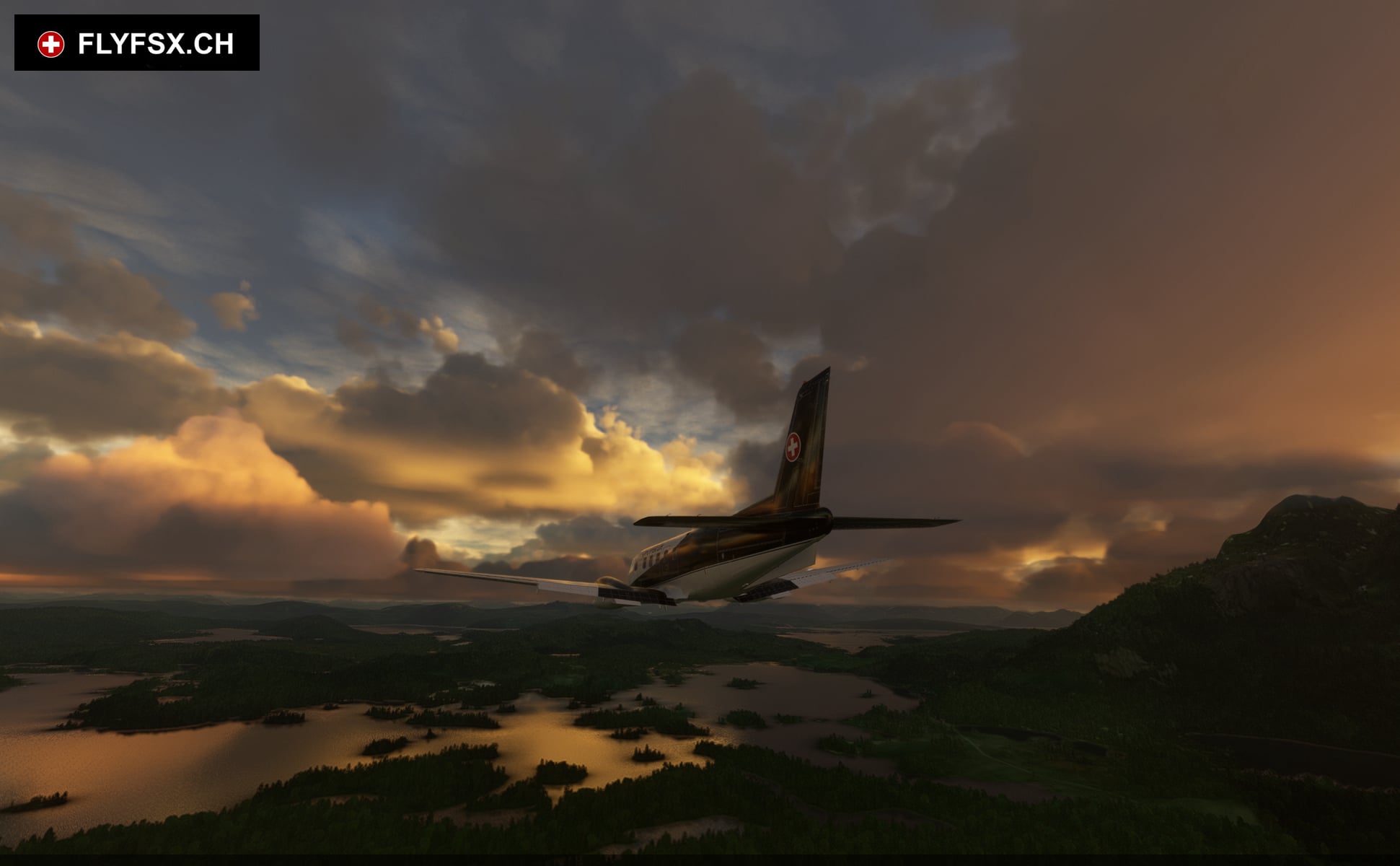 FLYFSX - Flugsimulator - Flight Simulator -  Rüchligweg 55 - 4125 Riehen - Basel - Baden - Aarau - Zürich - Schweiz - Lörrach - Freiburg - Deutschland. 