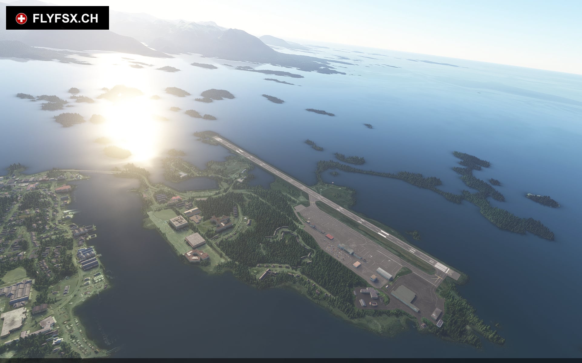 FLYFSX - Flugsimulator - Flight Simulator -  Rüchligweg 55 - 4125 Riehen - Basel - Baden - Aarau - Zürich - Schweiz - Lörrach - Freiburg - Deutschland. 