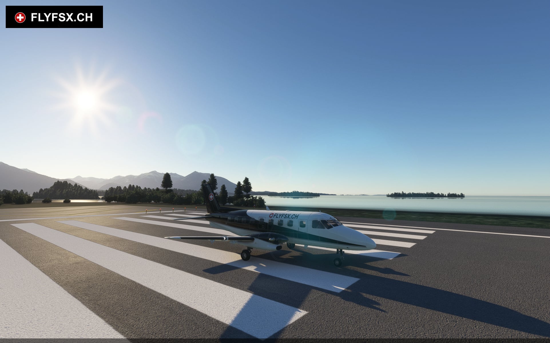 FLYFSX - Flugsimulator - Flight Simulator -  Rüchligweg 55 - 4125 Riehen - Basel - Baden - Aarau - Zürich - Schweiz - Lörrach - Freiburg - Deutschland. 