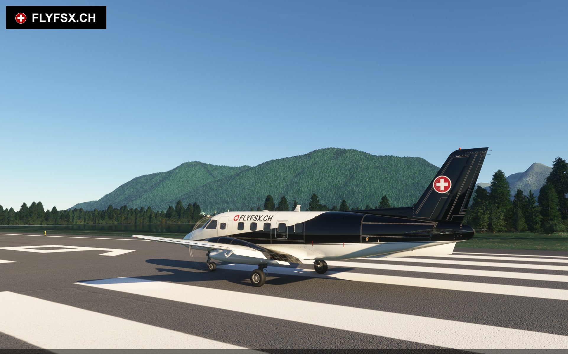 FLYFSX - Flugsimulator - Flight Simulator -  Rüchligweg 55 - 4125 Riehen - Basel - Baden - Aarau - Zürich - Schweiz - Lörrach - Freiburg - Deutschland. 