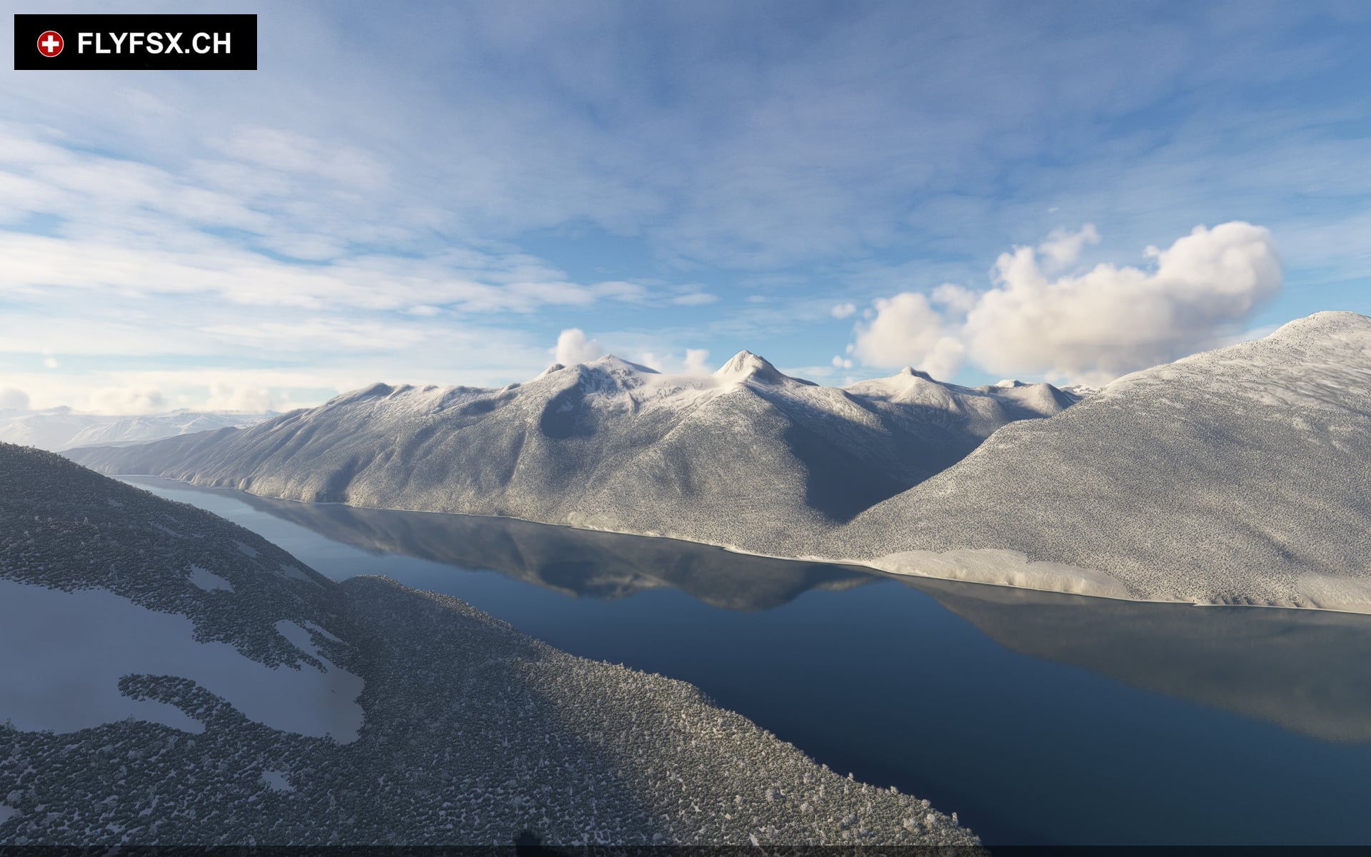 FLYFSX - Flugsimulator - Flight Simulator -  Rüchligweg 55 - 4125 Riehen - Basel - Baden - Aarau - Zürich - Schweiz - Lörrach - Freiburg - Deutschland. 