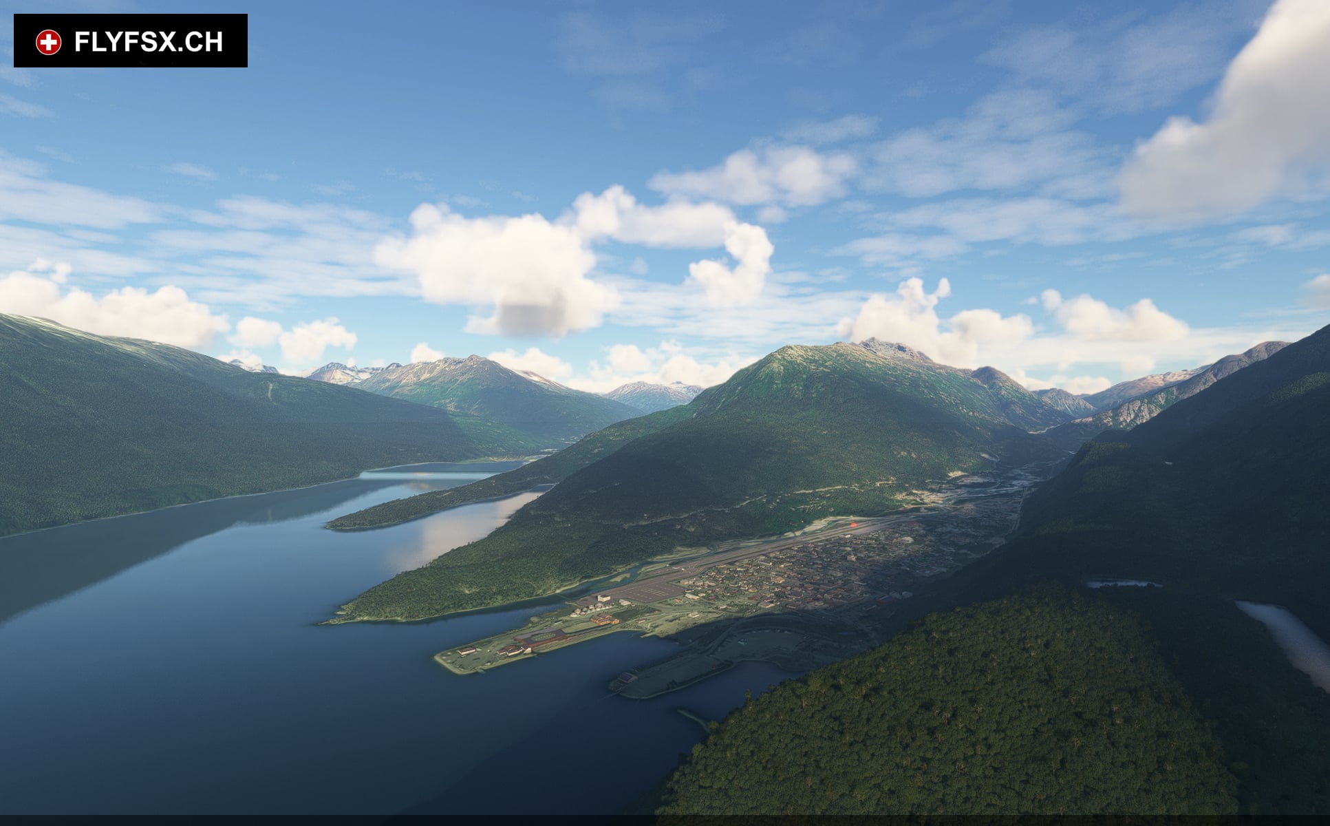 FLYFSX - Flugsimulator - Flight Simulator -  Rüchligweg 55 - 4125 Riehen - Basel - Baden - Aarau - Zürich - Schweiz - Lörrach - Freiburg - Deutschland. 