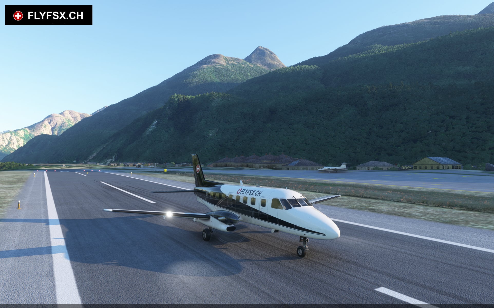 FLYFSX - Flugsimulator - Flight Simulator -  Rüchligweg 55 - 4125 Riehen - Basel - Baden - Aarau - Zürich - Schweiz - Lörrach - Freiburg - Deutschland. 