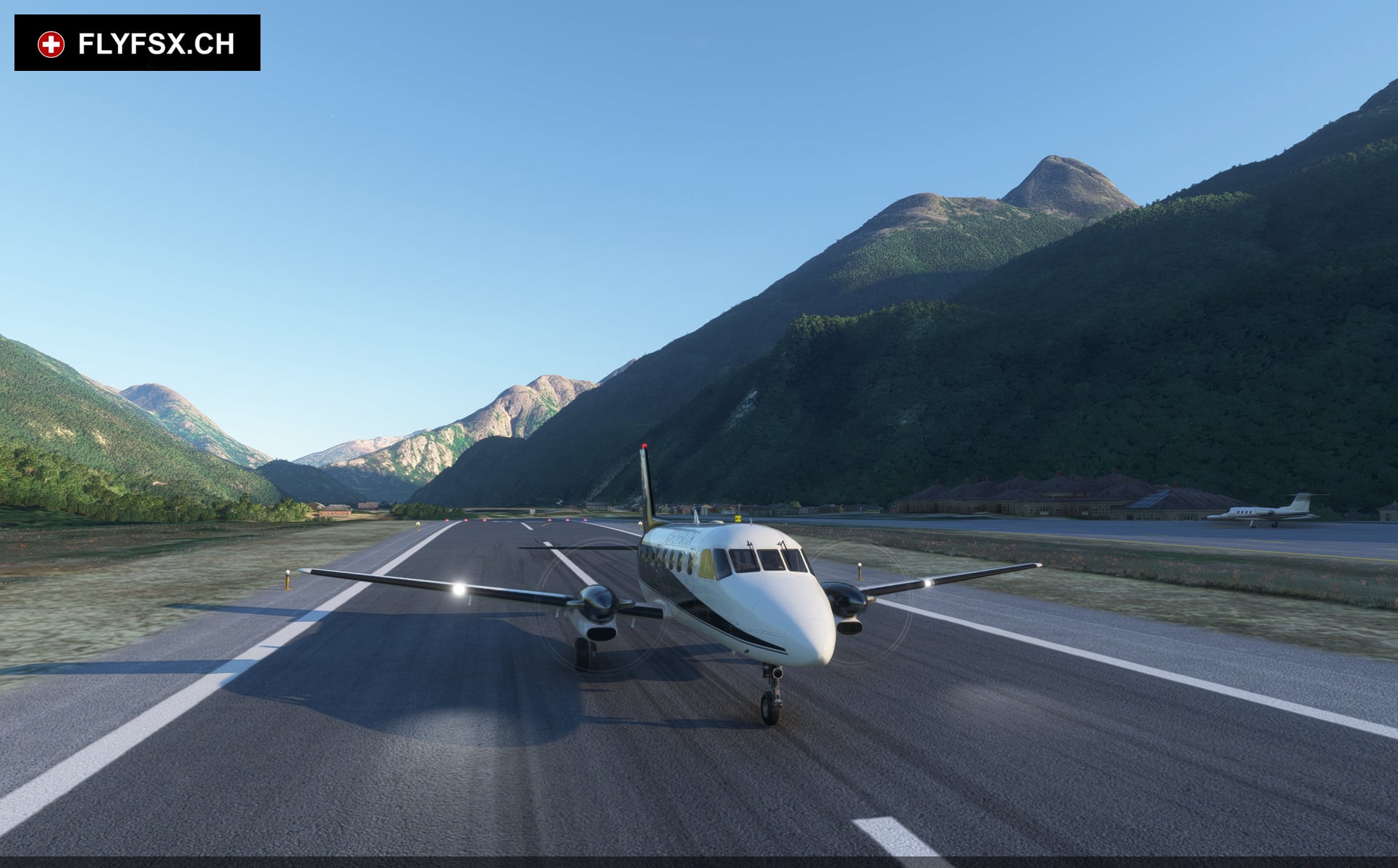 FLYFSX - Flugsimulator - Flight Simulator -  Rüchligweg 55 - 4125 Riehen - Basel - Baden - Aarau - Zürich - Schweiz - Lörrach - Freiburg - Deutschland. 