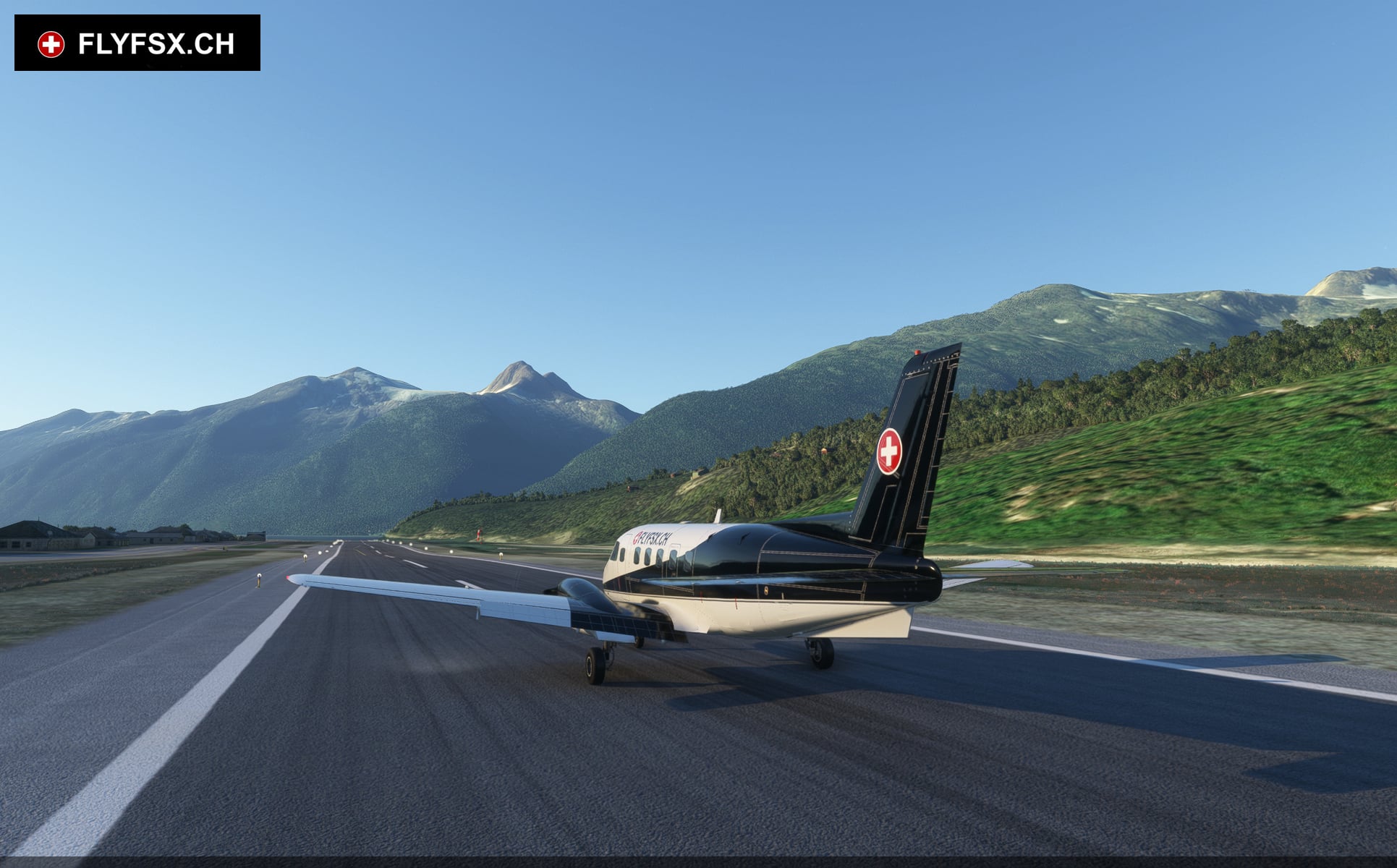 FLYFSX - Flugsimulator - Flight Simulator -  Rüchligweg 55 - 4125 Riehen - Basel - Baden - Aarau - Zürich - Schweiz - Lörrach - Freiburg - Deutschland. 
